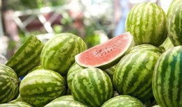 吃瓜星娱乐为什么说人类要吃盐,吃瓜星娱乐视角下的盐与人类生存之谜