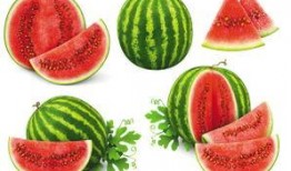 免费吃瓜的礼物有哪些,盘点那些让人惊喜的礼物清单