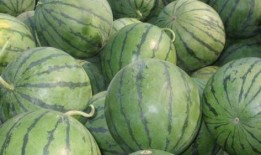 吃瓜星娱乐为什么说人类要吃盐,吃瓜星娱乐视角下的盐与人类生存之谜