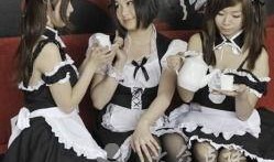 女仆咖啡全部爆料视频,揭秘幕后故事与精彩瞬间