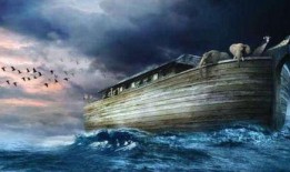 诺亚方舟在线观看,在线观看，揭秘神秘方舟的奇幻之旅