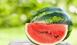 娱乐圈摆烂吃瓜