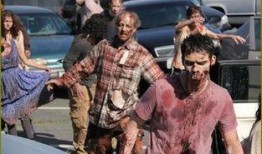 僵尸完整版在线观看,惊悚盛宴，揭秘末世生存法则