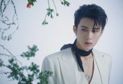 圈内八卦爆料檀健次小说,揭秘明星背后的爱情纠葛