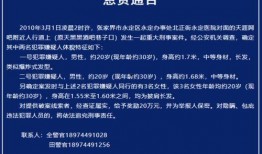 新闻爆料的报酬,揭秘巨额报酬背后的真相