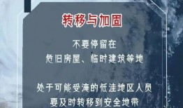 最新台风爆料消息今天新闻,揭秘今日新闻焦点！”