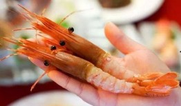 美佳加甜虾爆料视频大全,揭秘美食背后的故事