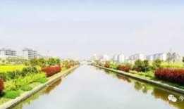 青水最新爆料,娱乐圈幕后真相大曝光！