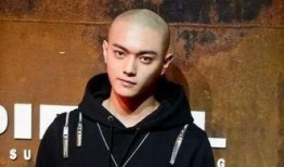 娱乐圈爆料 许凯,娱乐圈爆料背后的真相与争议