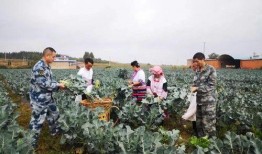 沾益天生桥最新爆料,最新爆料揭示世界奇观背后故事