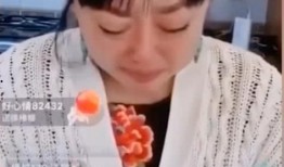 演员李婧婧最新爆料新闻