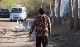 网友爆料鸭肠事件视频播放,视频播放引发热议