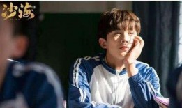 娱乐大爆料小鲜肉,揭秘小鲜肉的爆红之路