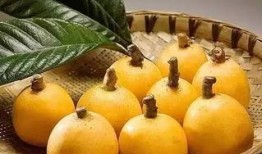 莆田最新爆料摘枇杷事件,摘枇杷事件引发热议