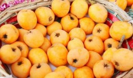 莆田最新爆料摘枇杷事件,摘枇杷事件引发热议