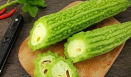 娱乐圈摆烂吃瓜