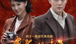 鉄核桃电视剧在线观看,揭秘抗战时期传奇特工的生死较量