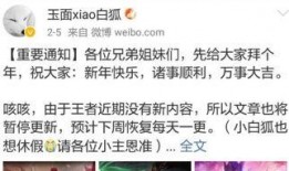 王者高管最新皮肤爆料博主,揭秘高管最新爆料，神秘皮肤即将登场！