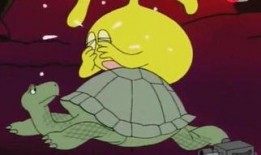 海龟爸爸爆料了吗视频播放,揭秘幕后真相