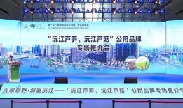 沅江新闻爆料热线,倾听民声，守护平安