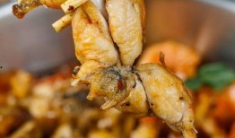 美佳加甜虾爆料视频大全,揭秘美食背后的故事