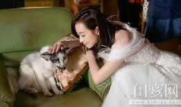 宋茜爆料结局视频大全,揭秘视频大全背后的惊人真相