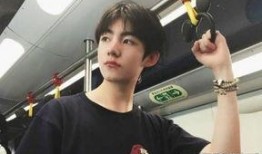 娱乐大爆料小鲜肉,揭秘小鲜肉的爆红之路