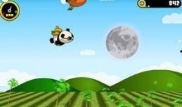 熊猫飞飞爆料最新,娱乐圈最新热点事件大曝光！