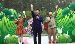 在线观看聚合网,在线观看聚合网深度解析