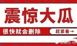 八卦吃瓜免费分享,免费分享，揭秘娱乐圈幕后故事
