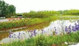 青水最新爆料,娱乐圈幕后真相大曝光！