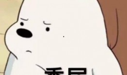 娱乐吃瓜酱不结婚的你,揭秘单身生活的独特魅力