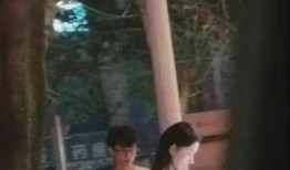 演唱会吃瓜最新事件网红